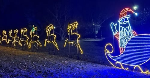 Kiwanis lights - christmas carnival of lights (2)