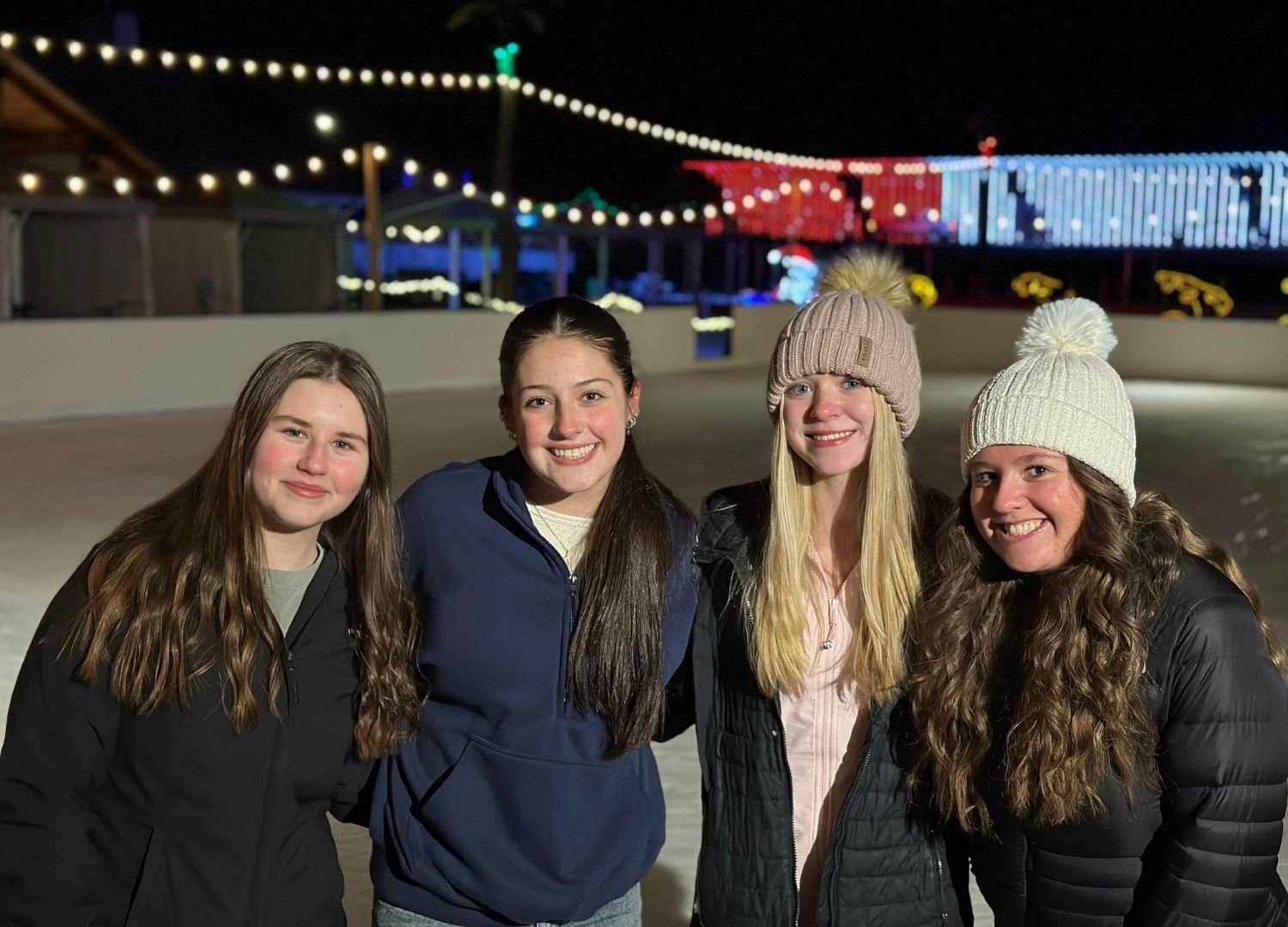 christmas carnival of lights (2)