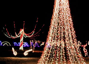 christmas carnival of lights - light show (1)
