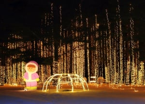 christmas carnival of lights - light show (2)