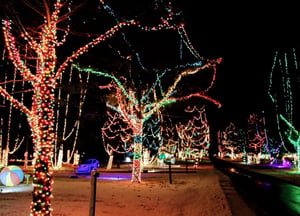 christmas carnival of lights - light show christmas carnival of lights - light show