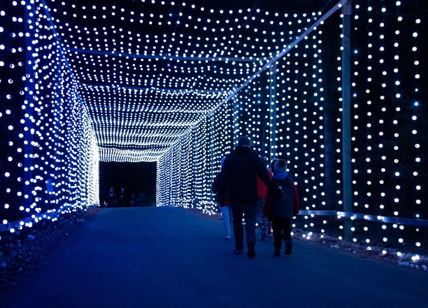 family walking through the dazzling lights at the Christmas Carnival of Lights Walk Through Night family walking through the dazzling lights at the Christmas Carnival of Lights Walk Through Night
