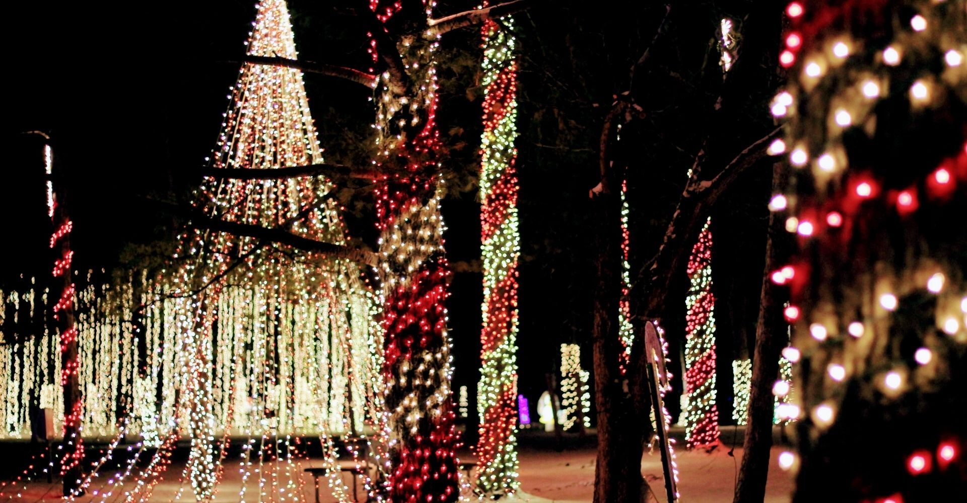 Candy cane lane in the Christmas Carnival of Lights drive through light show Candy cane lane in the Christmas Carnival of Lights drive through light show
