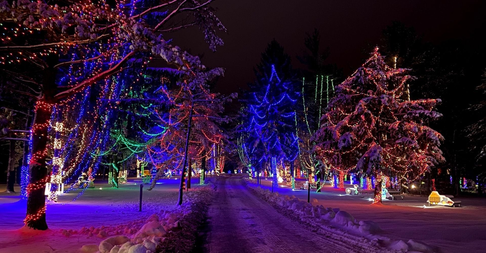 Dazzling colorful trees throughout the Christmas Carnival of Lights drive through light show Dazzling colorful trees throughout the Christmas Carnival of Lights drive through light show