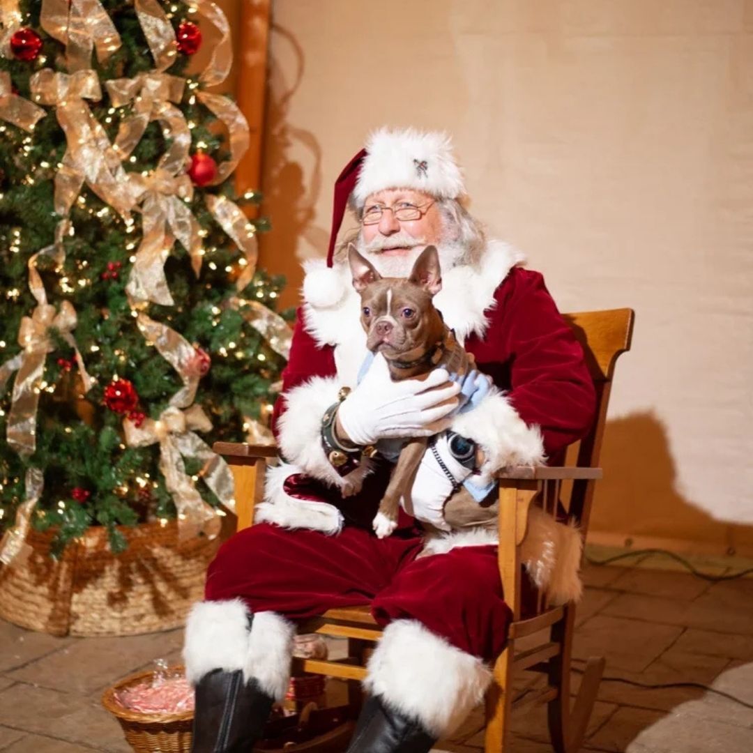 community nights at christmas carnival of lights (4)
